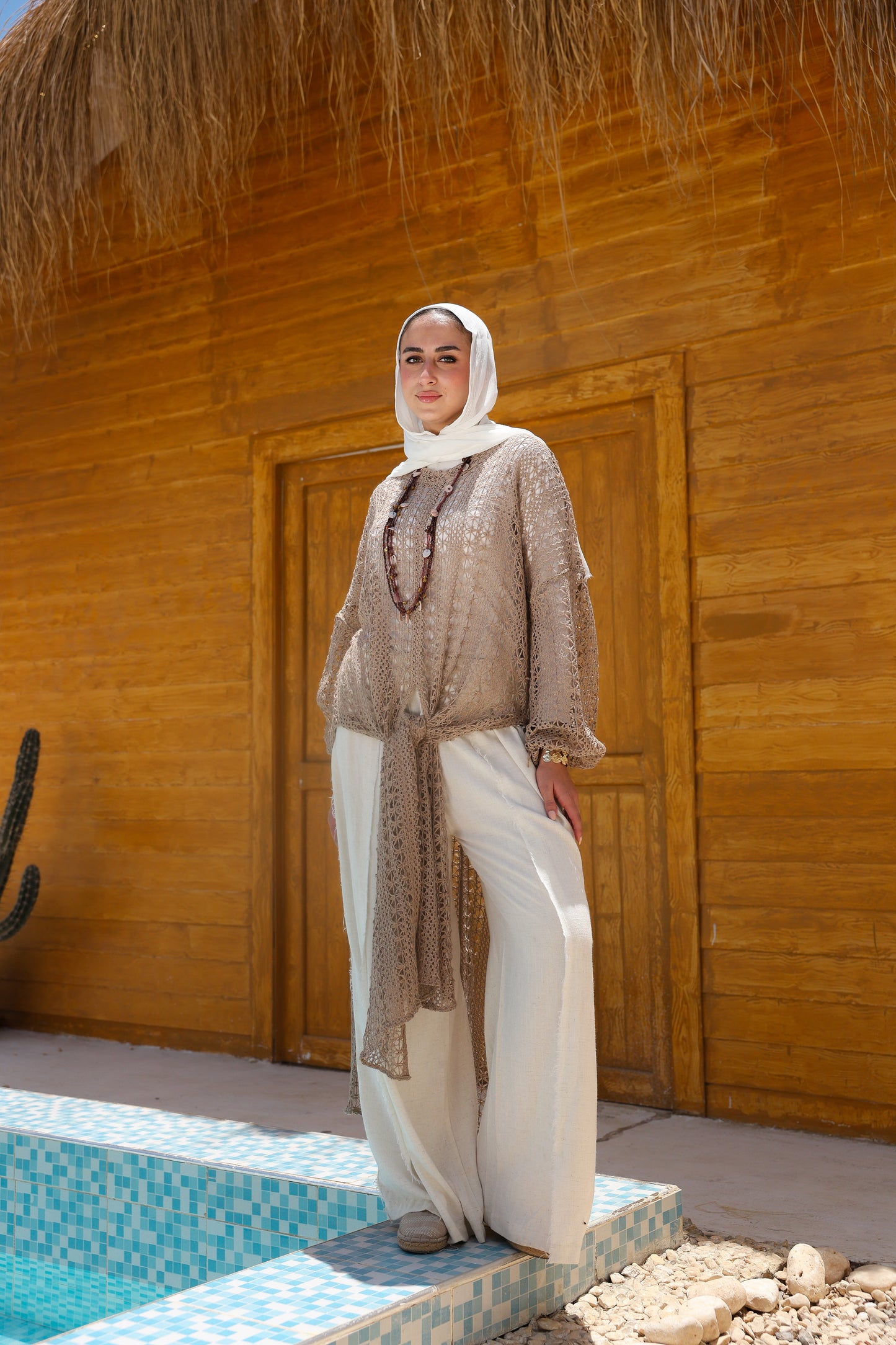 Cascade Net Dress in Café