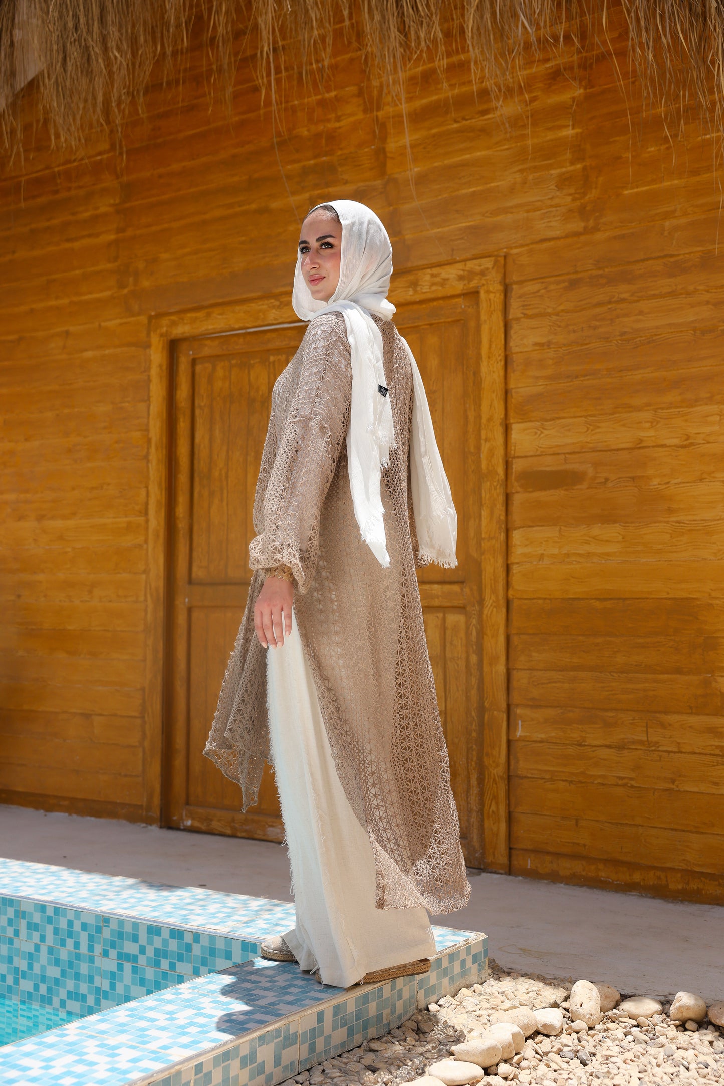 Cascade Net Dress in Café